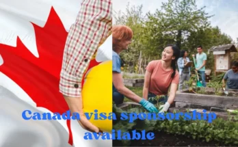 Canada Jobs for Foreigners with Visa Sponsorship 2025 – Apply Now