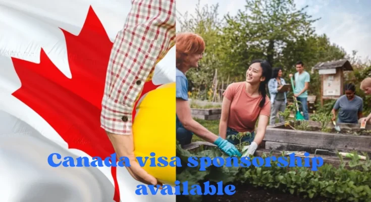 Canada Jobs for Foreigners with Visa Sponsorship 2025 – Apply Now