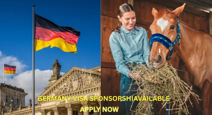  Germany Horse Farm Jobs With Free Visa Sponsorship – Apply Now in 2025!
