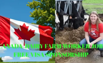 Canada Dairy Farm Jobs with Free Visa Sponsorship – Apply Now!