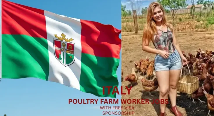  Italy Poultry Farm Jobs With Free Visa Sponsorship – Apply Now!